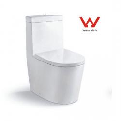 One Piece Toilet with Watermark